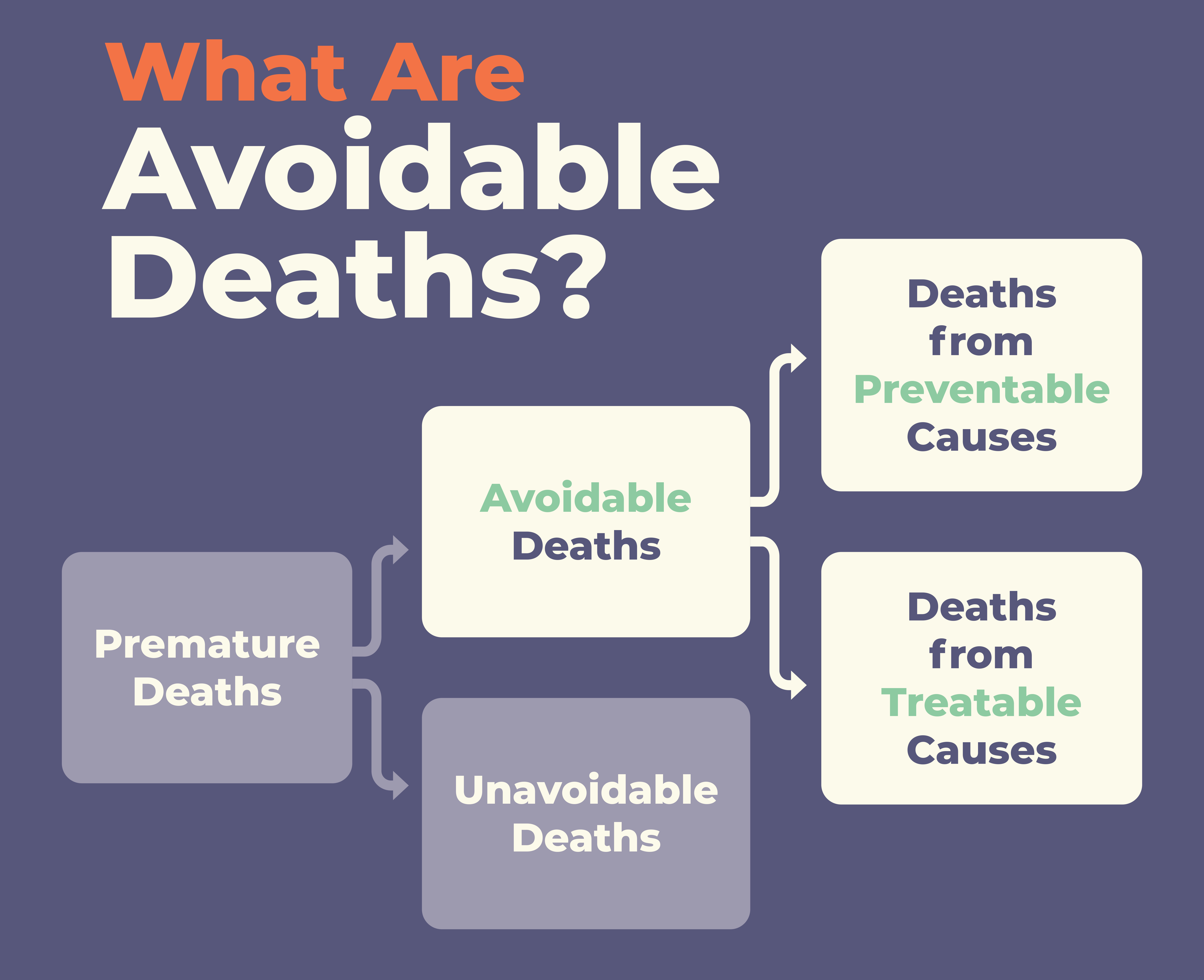What Are Avoidable Deaths infographic