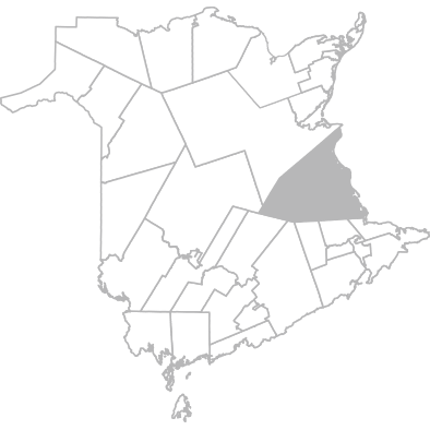 Bouctouche