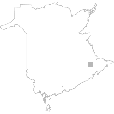 Moncton