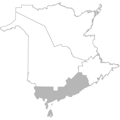 Anglophone South